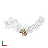 NADH-quinone oxidoreductase subunit H in PDB entry 7p7j, assembly 1, front view.