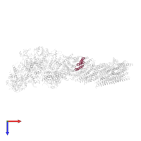 NADH-quinone oxidoreductase subunit K in PDB entry 7p7m, assembly 1, top view.