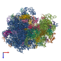 PDB entry 7p7s coloured by chain, top view.
