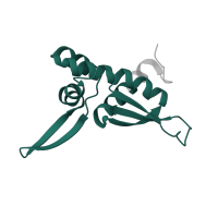 The deposited structure of PDB entry 7p7t contains 1 copy of Pfam domain PF01196 (Ribosomal protein L17) in Large ribosomal subunit protein bL17. Showing 1 copy in chain X [auth Q].