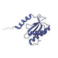 The deposited structure of PDB entry 7p7t contains 1 copy of Pfam domain PF00861 (Ribosomal L18 of archaea, bacteria, mitoch. and chloroplast) in Large ribosomal subunit protein uL18. Showing 1 copy in chain Y [auth R].