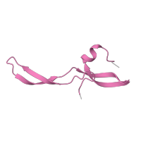 The deposited structure of PDB entry 7p7t contains 1 copy of Pfam domain PF00830 (Ribosomal L28 family) in Large ribosomal subunit protein bL28. Showing 1 copy in chain GA [auth Z].