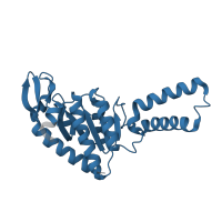 The deposited structure of PDB entry 7p7t contains 1 copy of Pfam domain PF00318 (Ribosomal protein S2) in Small ribosomal subunit protein uS2. Showing 1 copy in chain JA [auth c].