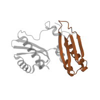 The deposited structure of PDB entry 7p7t contains 1 copy of Pfam domain PF00189 (Ribosomal protein S3, C-terminal domain) in Small ribosomal subunit protein uS3. Showing 1 copy in chain KA [auth d].