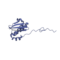 The deposited structure of PDB entry 7p7t contains 1 copy of Pfam domain PF00380 (Ribosomal protein S9/S16) in Small ribosomal subunit protein uS9. Showing 1 copy in chain QA [auth j].