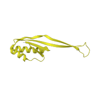 The deposited structure of PDB entry 7p7t contains 1 copy of Pfam domain PF00338 (Ribosomal protein S10p/S20e) in Small ribosomal subunit protein uS10. Showing 1 copy in chain RA [auth k].