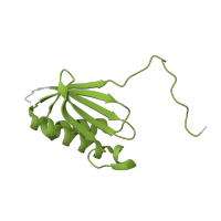 The deposited structure of PDB entry 7p7t contains 1 copy of Pfam domain PF00411 (Ribosomal protein S11) in Small ribosomal subunit protein uS11. Showing 1 copy in chain SA [auth l].