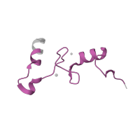 The deposited structure of PDB entry 7p7t contains 1 copy of Pfam domain PF00253 (Ribosomal protein S14p/S29e) in Small ribosomal subunit protein uS14. Showing 1 copy in chain VA [auth o].