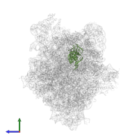 tRNA-fMet in PDB entry 7p7t, assembly 1, side view.