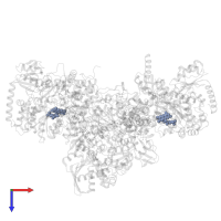 FLAVIN MONONUCLEOTIDE in PDB entry 7p91, assembly 1, top view.