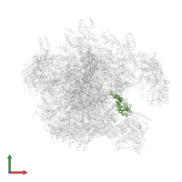 Large ribosomal subunit protein uL16m in PDB entry 7pd3, assembly 1, front view.
