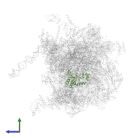 Large ribosomal subunit protein uL16m in PDB entry 7pd3, assembly 1, side view.