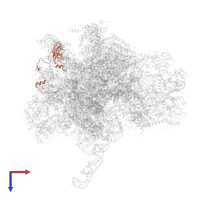 Large ribosomal subunit protein uL24m in PDB entry 7pd3, assembly 1, top view.