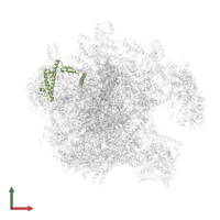 Large ribosomal subunit protein uL29m in PDB entry 7pd3, assembly 1, front view.