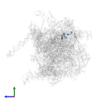 Large ribosomal subunit protein mL51 in PDB entry 7pd3, assembly 1, side view.