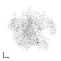Large ribosomal subunit protein bL36m in PDB entry 7pd3, assembly 1, front view.