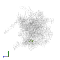 Large ribosomal subunit protein bL36m in PDB entry 7pd3, assembly 1, side view.