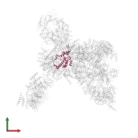 DNA replication complex GINS protein PSF3 in PDB entry 7pfo, assembly 1, front view.