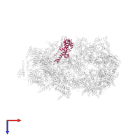 DNA replication complex GINS protein PSF3 in PDB entry 7pfo, assembly 1, top view.