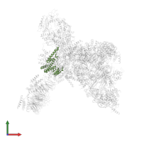 DNA replication complex GINS protein SLD5 in PDB entry 7pfo, assembly 1, front view.