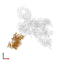 WD repeat and HMG-box DNA-binding protein 1 in PDB entry 7pfo, assembly 1, front view.