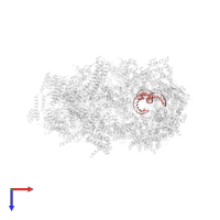 Leading strand DNA in PDB entry 7pfo, assembly 1, top view.