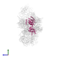 DNA replication licensing factor MCM5 in PDB entry 7pfo, assembly 1, side view.