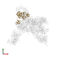 DNA polymerase epsilon subunit 2 in PDB entry 7pfo, assembly 1, front view.