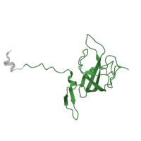 The deposited structure of PDB entry 7ph9 contains 1 copy of Pfam domain PF00164 (Ribosomal protein S12/S23) in Small ribosomal subunit protein uS12. Showing 1 copy in chain N [auth K].