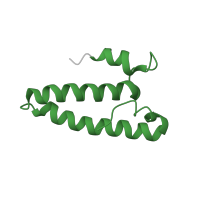 The deposited structure of PDB entry 7ph9 contains 1 copy of Pfam domain PF00312 (Ribosomal protein S15) in Small ribosomal subunit protein uS15. Showing 1 copy in chain Q [auth N].