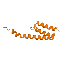 The deposited structure of PDB entry 7ph9 contains 1 copy of Pfam domain PF01649 (Ribosomal protein S20) in Small ribosomal subunit protein bS20. Showing 1 copy in chain V [auth S].