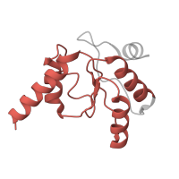 The deposited structure of PDB entry 7ph9 contains 1 copy of Pfam domain PF00466 (Ribosomal protein L10) in Large ribosomal subunit protein uL10. Showing 1 copy in chain DA [auth g].