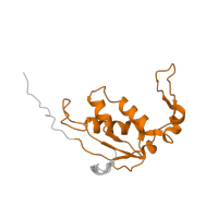 The deposited structure of PDB entry 7ph9 contains 1 copy of Pfam domain PF00572 (Ribosomal protein L13) in Large ribosomal subunit protein uL13. Showing 1 copy in chain FA [auth i].