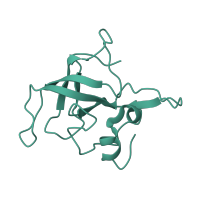 The deposited structure of PDB entry 7ph9 contains 1 copy of Pfam domain PF00238 (Ribosomal protein L14p/L23e) in Large ribosomal subunit protein uL14. Showing 1 copy in chain GA [auth j].