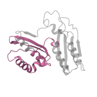 The deposited structure of PDB entry 7ph9 contains 1 copy of Pfam domain PF07650 (KH domain) in Small ribosomal subunit protein uS3. Showing 1 copy in chain E [auth B].