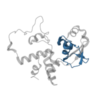 The deposited structure of PDB entry 7ph9 contains 1 copy of Pfam domain PF01479 (S4 domain) in Small ribosomal subunit protein uS4. Showing 1 copy in chain F [auth C].