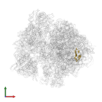 Large ribosomal subunit protein bL20 in PDB entry 7ph9, assembly 1, front view.