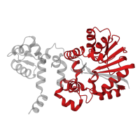 The deposited structure of PDB entry 7phe contains 4 copies of Pfam domain PF00891 (O-methyltransferase domain) in Aclacinomycin 10-hydroxylase RdmB. Showing 2 copies in chain A.