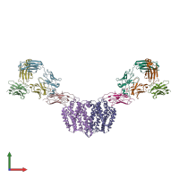 PDB entry 7phq coloured by chain, front view.