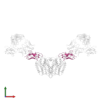 DMT-Nb16_4 in PDB entry 7phq, assembly 1, front view.