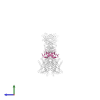 DMT-Nb16_4 in PDB entry 7phq, assembly 1, side view.