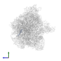 Small ribosomal subunit protein bS21 in PDB entry 7pic, assembly 1, side view.