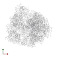 Large ribosomal subunit protein bL36 in PDB entry 7pic, assembly 1, front view.