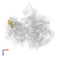 Small ribosomal subunit protein uS4 in PDB entry 7pic, assembly 1, top view.