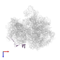 Small ribosomal subunit protein bS6 in PDB entry 7pic, assembly 1, top view.