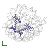 Histone H2A type 1-C in PDB entry 7pii, assembly 1, front view.