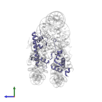 Histone H2A type 1-C in PDB entry 7pii, assembly 1, side view.