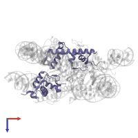 Histone H2A type 1-C in PDB entry 7pii, assembly 1, top view.