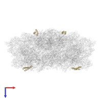 Photosystem II reaction center protein Z in PDB entry 7pin, assembly 1, top view.