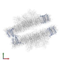 CP26 in PDB entry 7pin, assembly 1, front view.